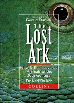 The Lost Ark